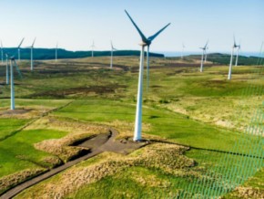 Wind Turbines in a field