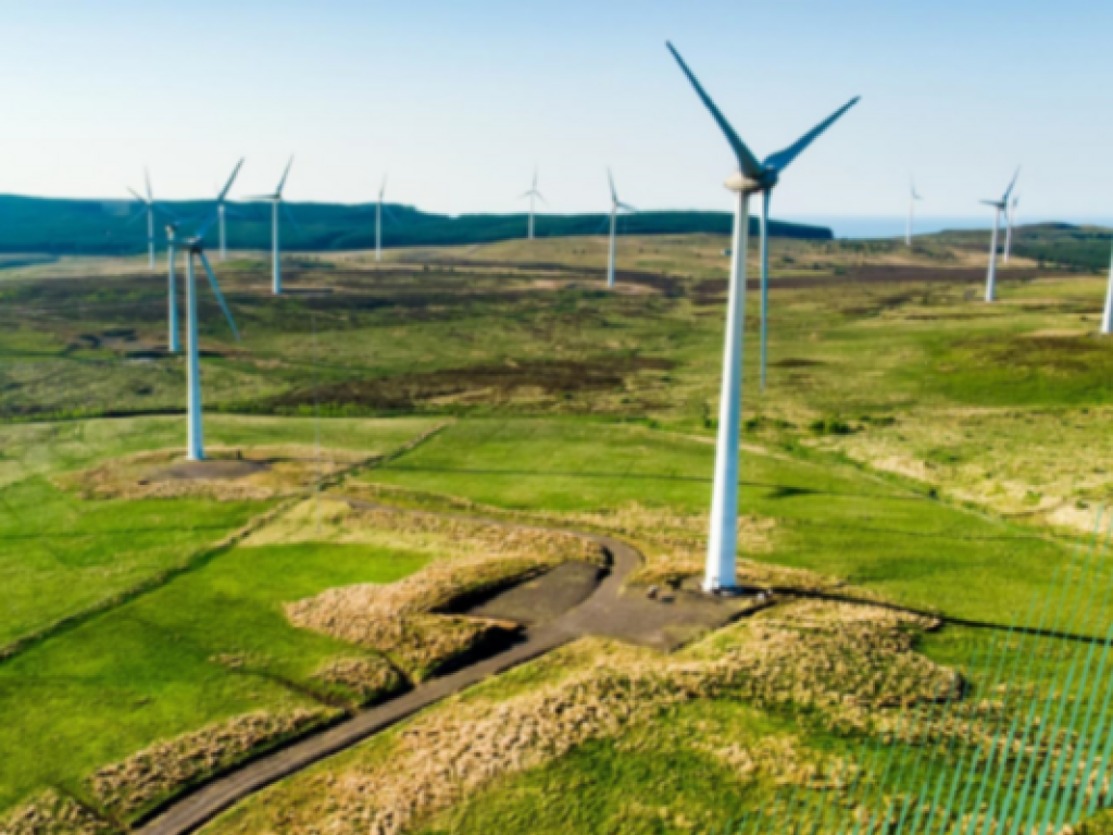 Wind Turbines in a field