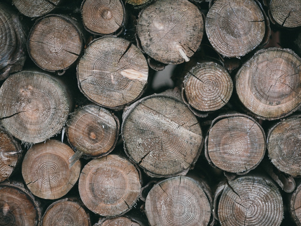 wooden logs lying flat on each other