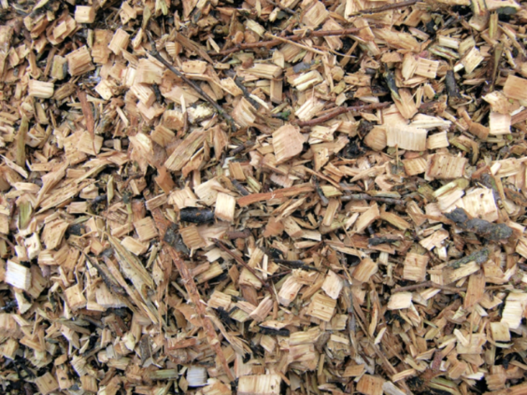 wood chips